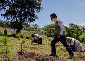 OIT resaltó el Plan Nacional de Empleo del Paraguay