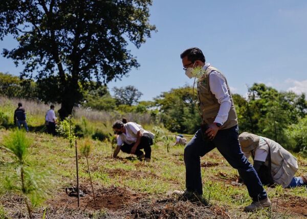 OIT resaltó el Plan Nacional de Empleo del Paraguay