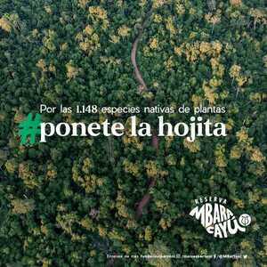 Fundación Moisés Bertoni celebra 32° aniversario de creación de la Reserva Natural del Bosque Mbaracayú - .::Agencia IP::.