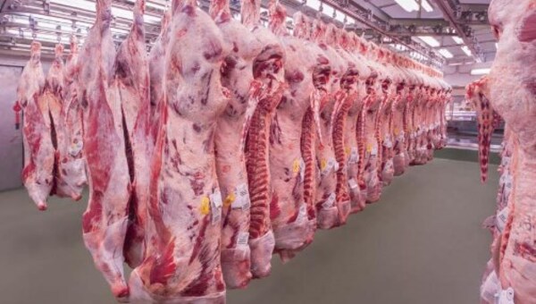 El 70% de producción cárnica local es exportada gracias a buenos precio, pero el desafío es ingresar a EE.UU | 1000 Noticias
