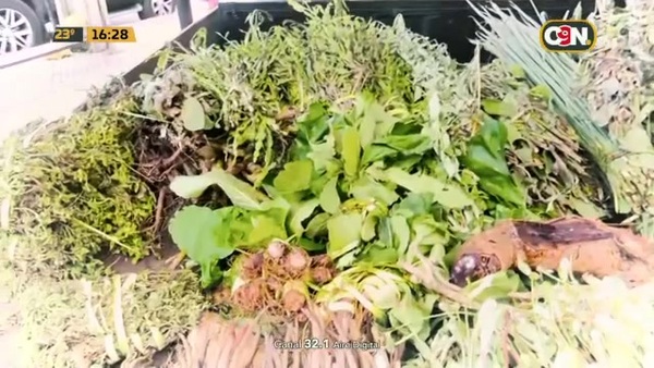 Remedios naturales: Mitos y verdades - C9N