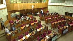 Estos son los senadores electos que asumirán este viernes 30 de junio - Política - ABC Color