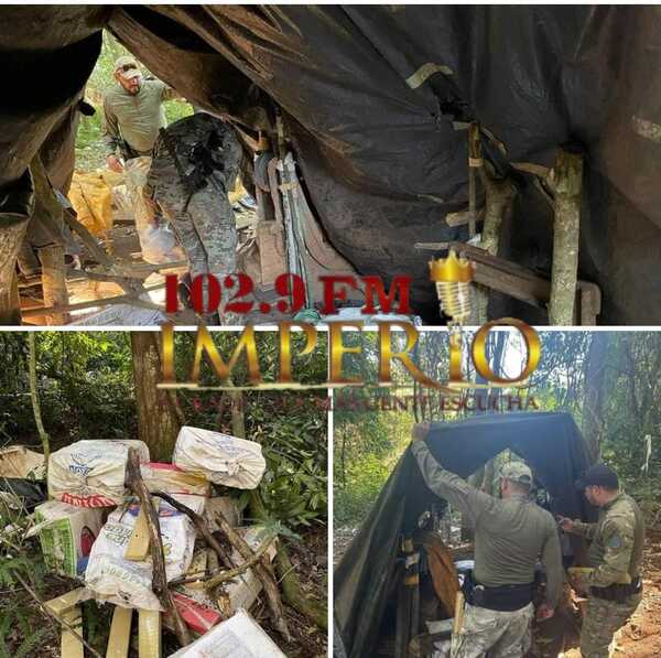 Senad anula una tonelada de marihuana en Cerro Cora'i - Radio Imperio