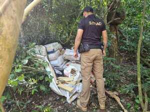 SENAD decomisa y destruye 1000 kilos de marihuana en la Colonia Cerro Cora'i"