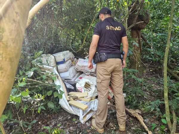 SENAD decomisa y destruye 1000 kilos de marihuana en la Colonia Cerro Cora'i"