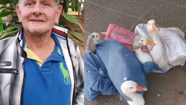 Ofreció sus gansos para comprar anteojos y le mandaron plata desde España