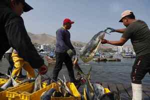 Las expectativas sobre la economía de Perú auguran varios años difíciles - MarketData