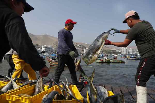 Las expectativas sobre la economía de Perú auguran varios años difíciles - MarketData