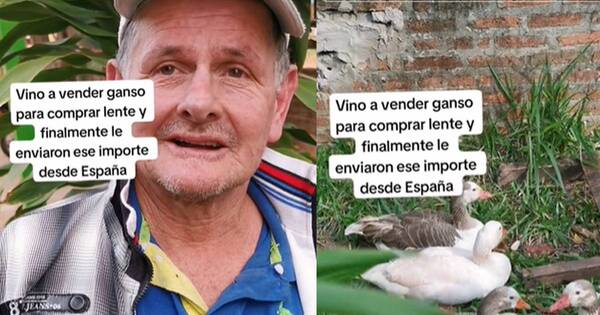 La Nación / ¡Solidaridad! Hombre mayor recibió regalo de España y salvó a sus gansos