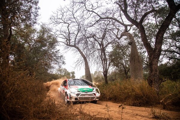 Toyota Gazoo Racing y el Team La Renga en un mano a mano por el liderato