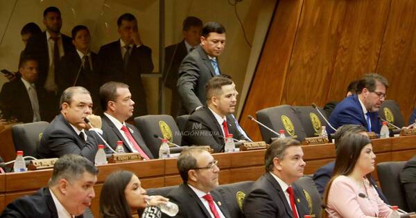 La Nación / Arrechea y Salinas fueron electos para la vicepresidencia de la Cámara Baja