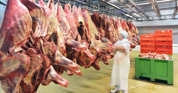 La Nación / Abordarán estrategias, mercados y perspectivas del sector cárnico en Expo MRA