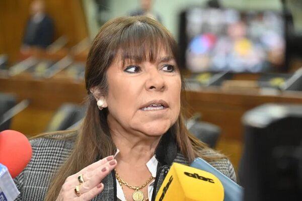 Así fue la primera reacción de Celeste Amarilla contra Bachi en el Senado - Política - ABC Color