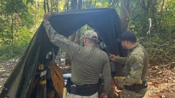 Hallan más de 1.000 kilos de marihuana en Amambay - Noticias Paraguay