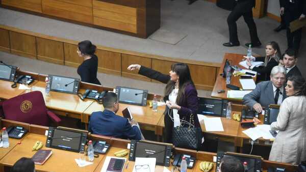 Bachi y Celeste Amarilla llevan su rivalidad al Senado en primera sesión