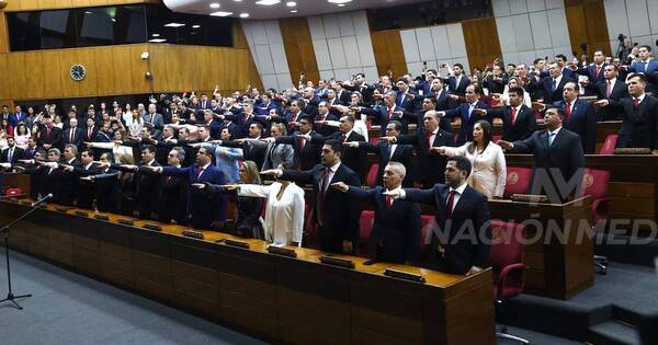 La Nación / La Cámara de Diputados tomó el juramento a sus nuevos miembros