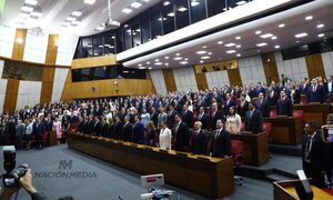 Juraron los nuevos diputados que estarán hasta el 2028 – Diario TNPRESS