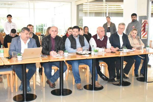AVANZA EL ESTUDIO DETALLADO DEL ESTATUTO DE LA ASOCIACIÓN DE MUNICIPIOS DEL ÁREA METROPOLITANA DE ENCARNACIÓN