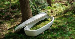 La Nación / Ataúd de hongos: una alternativa biodegradable para el descanso eterno