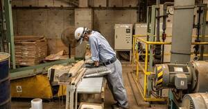 La Nación / Japón: implementan fertilizantes hechos heces humanas ante encarecimiento de precios