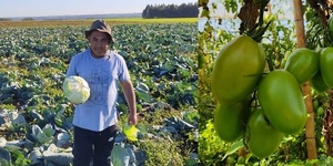BUSCAN QUE PRODUCTORES DE ITAPÚA APLIQUEN TECNOLOGÍAS AGRÍCOLAS - Itapúa Noticias