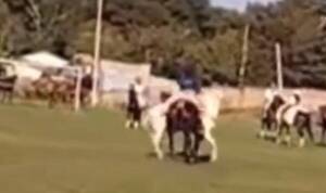 Insólito choque de caballos hizo que uno de los jinetes deba ser llevado apúrope al hospital