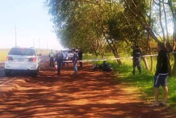 Funcionario municipal muere tras chocar contra un árbol - ABC en el Este - ABC Color