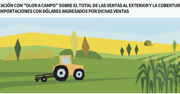 La Nación / ¡Qué sería de nosotros sin el “Campo”!