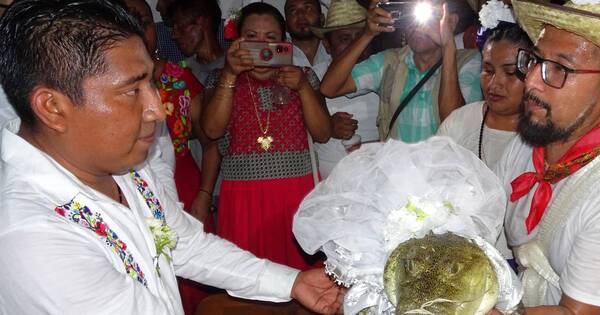La Nación / En rito ancestral, alcalde mexicano se casa con un caimán