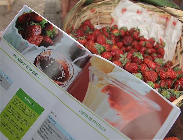 Beneficios para la salud por el consumo de frutillas | 1000 Noticias