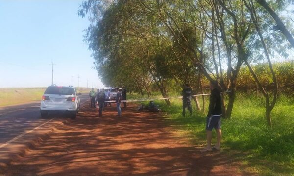 Motociclista muere tras chocar un árbol