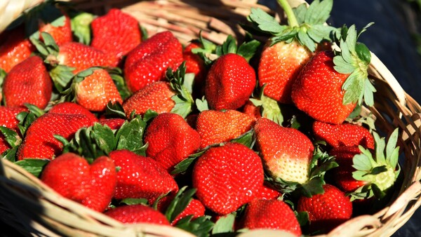 Estas son las bondades de la frutilla, la fruta del mes de julio