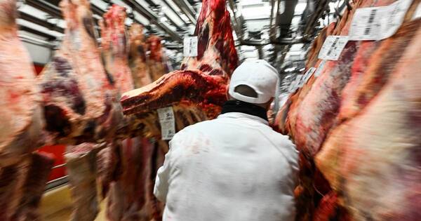 La Nación / Complejo cárnico: Canadá puede sorprender con mejores precios que Rusia