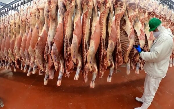 Ingresos por exportación de carne se redujeron en un 15% - Nacionales - ABC Color