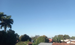 Cálido primer lunes de julio en Coronel Oviedo - OviedoPress