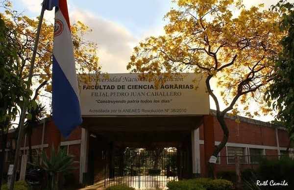 Roban suministros de apicultura de la Facultad de Agronomía de la UNA - Radio Imperio