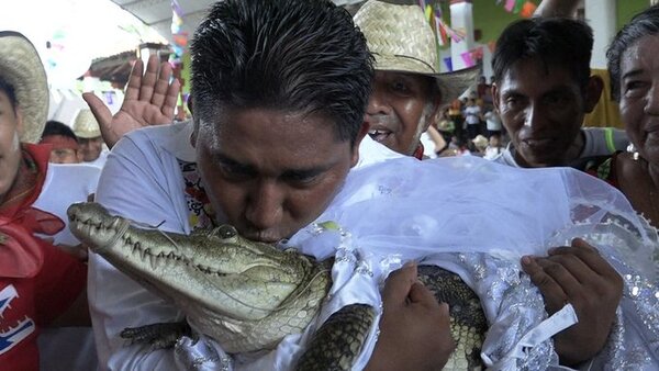 Un alcalde mexicano se casa con un caimán en un rito ancestral