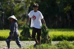 Luchar contra el trabajo infantil desde la experiencia de limpiar lechugas a los 11 años  - Mundo - ABC Color
