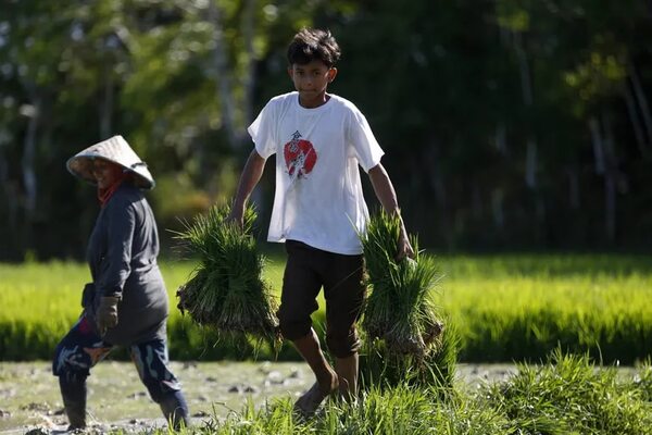 Luchar contra el trabajo infantil desde la experiencia de limpiar lechugas a los 11 años - Mundo - ABC Color