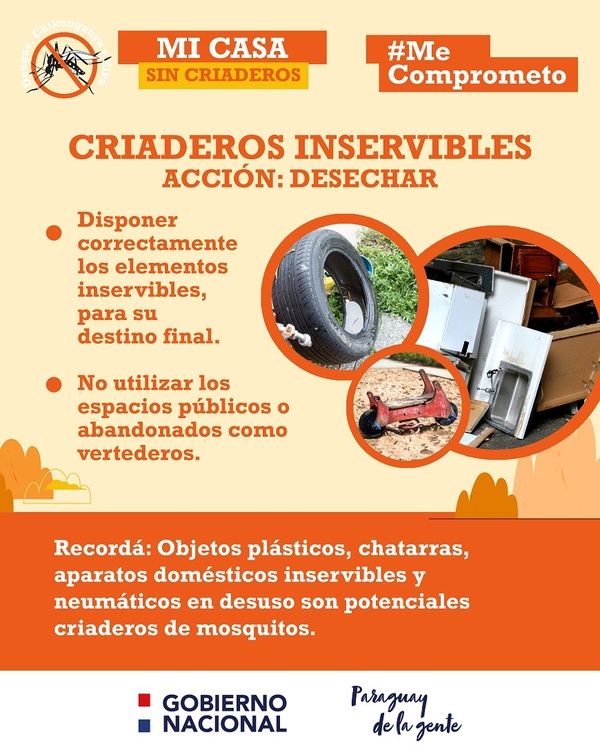 Se registra una reducción importante de casos de chikungunya y dengue - .::Agencia IP::.