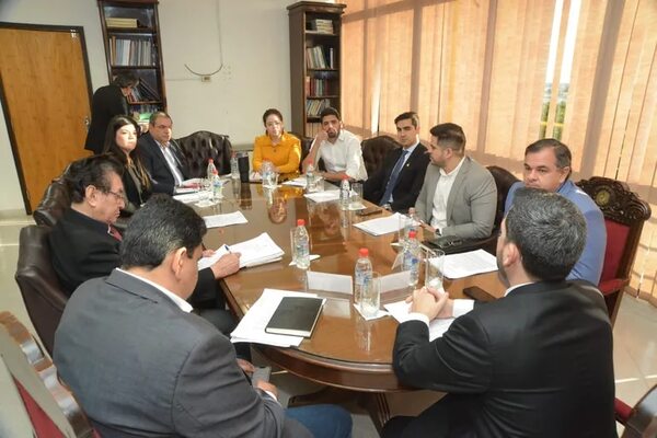 Oposición insiste en pluralidad en el JEM y cuestiona posible copamiento de la ANR - Política - ABC Color