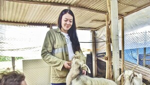 Funcionarios crean un refugio de animales en Costanera asuncena