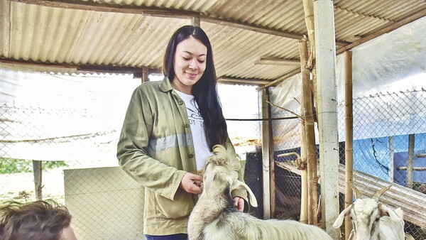 Funcionarios crean un refugio de animales en Costanera asuncena