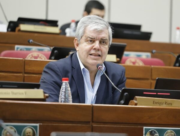 Más Linces: “Es un modelo que admite abusos en nombre de la seguridad”, cuestionan a Riera · Radio Monumental 1080 AM