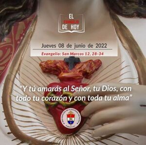 Evangelio de hoy, jueves 08 de junio de 2023 - Portal Digital Cáritas Universidad Católica