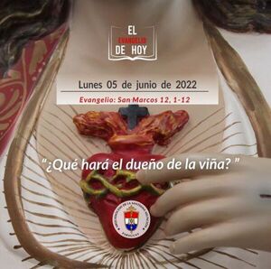 Evangelio de hoy, lunes 05 de junio de 2023 - Portal Digital Cáritas Universidad Católica
