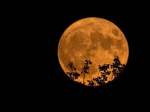 Esta noche se podrá ver la “Superluna” | 1000 Noticias