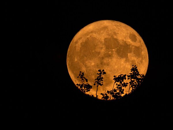 Esta noche se podrá ver la “Superluna” | 1000 Noticias