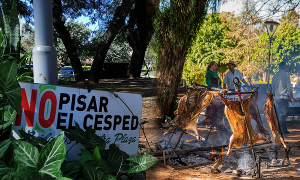 Denuncian que “ovejeros” destruyeron espacio público en Caaguazú - OviedoPress