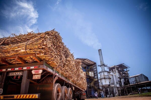 Petropar inició zafra con la meta de moler 407.000 toneladas de caña de azúcar - ADN Digital